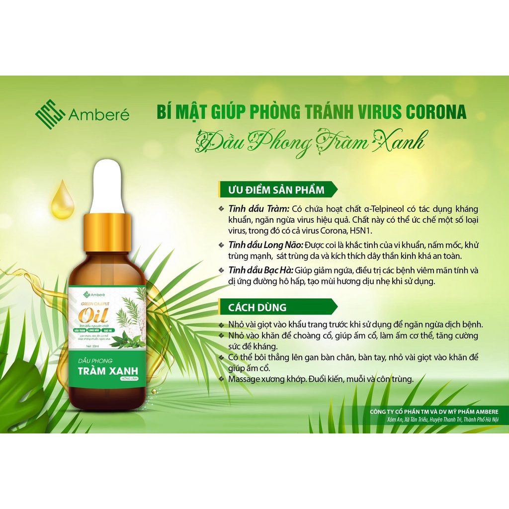 Tinh dầu dầu Tràm 30 ml