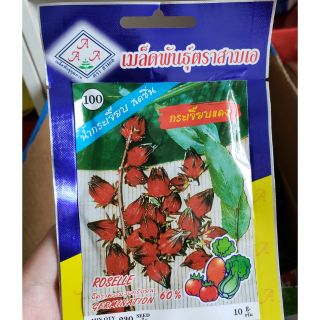 Hạt giống Artiso Đỏ (bụp giấm) Thái Lan