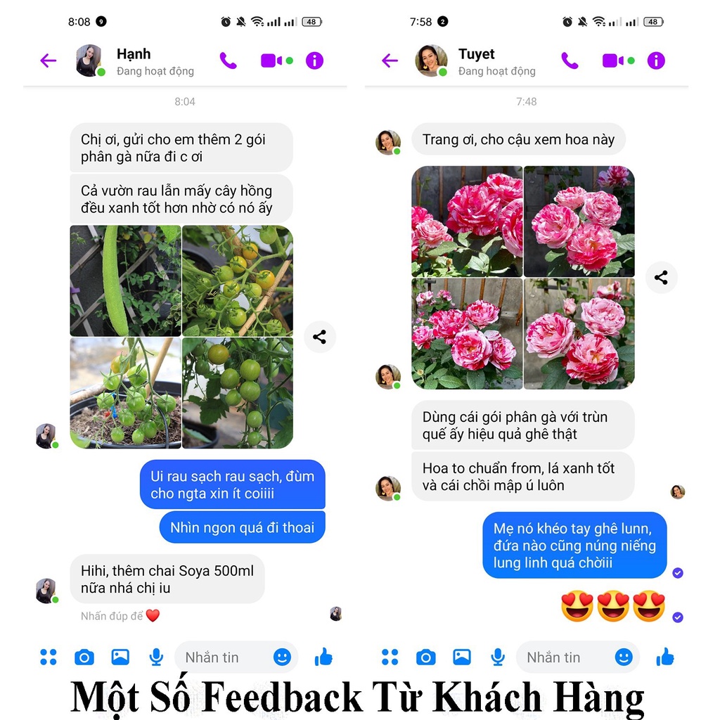 Phân gà hữu cơ Nhật ROSAVA, phân bón hoa hồng, sen đá, hoa giấy, cây cảnh, lan, rau sạch