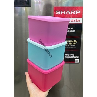 Hộp bảo quản thực phẩm Medium Square Round (màu inb)
