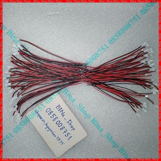 Cáp JST 2pin 100mm đực cái