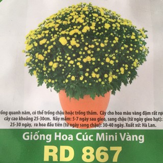 Hạt Giống Hoa Cúc Mini Vàng (0,03gr) Rd 867, Cúc Mâm Xôi, Màu Vàng Đậm