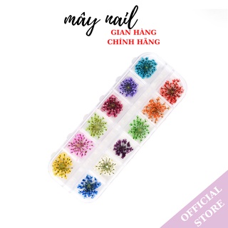 Hoa khô nail trang trí móng , hoa khô chùm 12 màu