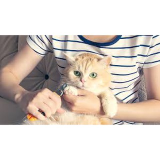 Kìm Cắt Móng Chó Mèo