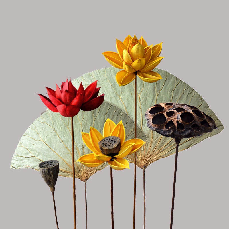 Hoa sen gỗ khô không nhụy - Decor, trang trí nhà cửa phong cách cổ điển vintage