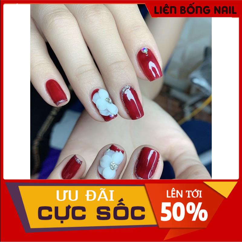 Hoa cúc nhọn - Hoa bột nail