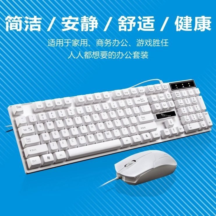 Bộ Chuột Và Đèn Chiếu Sáng Họa Tiết Da Báo Độc Đáo | BigBuy360 - bigbuy360.vn