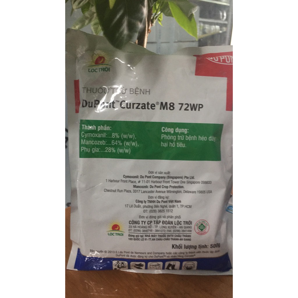THUỐC TRỪ BỆNH CURZATE M8 72WP_500G