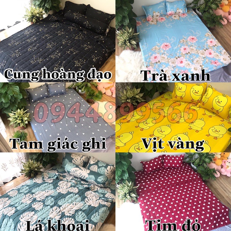 Vỏ gối ôm cotton poly nhiều mẫu