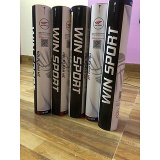 Ống cầu thi đấu Winsport