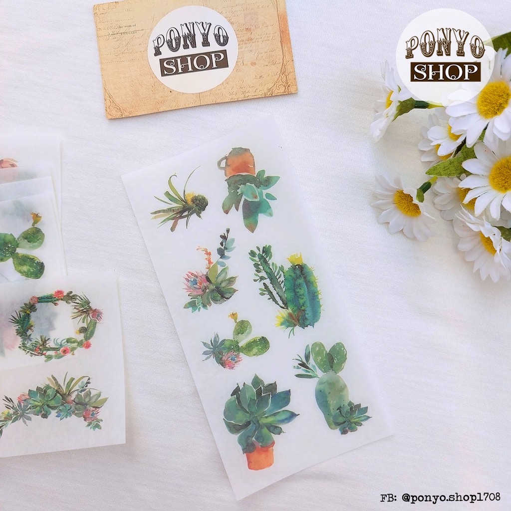 Bộ 6 sticker xương rồng Cactus