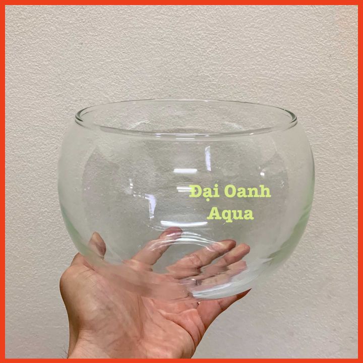 Bể cá thủy tinh tròn, hồ cá mini tròn miệng bèo, chậu trồng cây