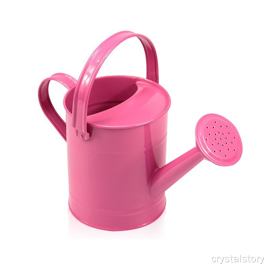 Bình tưới cây bằng sắt dung tích 1.5L