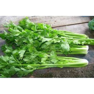 Hạt Giống Cần Tây