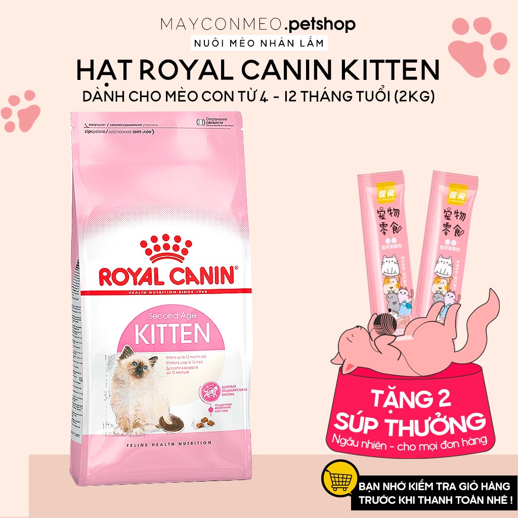 Thức ăn hạt cho mèo con Royal Canin Kitten Gói 2kg - Hạt Royal Canin Kitten, Thức ăn khô cho mèo con