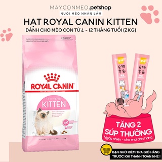 Thức ăn hạt cho mèo con Royal Canin Kitten Gói 2kg - Hạt Royal Canin Kitten, Thức ăn khô cho mèo con