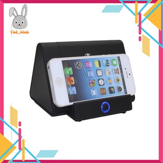 Loa Cảm Ứng - Loa Khuếch Đại Không Dây Best Core Thế Hệ Mới