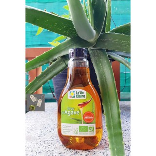 [SỈ/LẺ] MẬT CÂY THÙA HỮU CƠ - AGAVE SYRUP 660GRAM