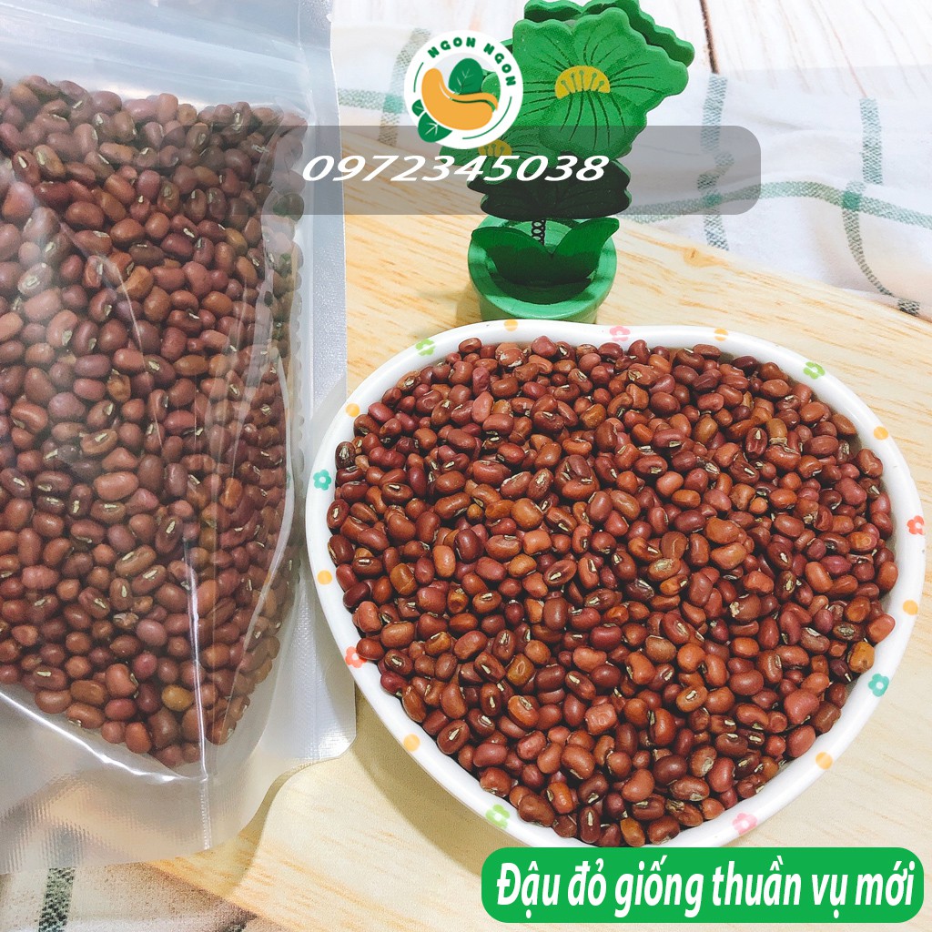 Đậu đỏ  giống thuần tự nhiên vụ mới
