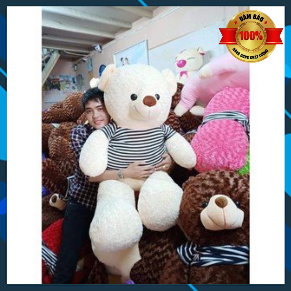 Gấu bông Teddy,gấu ôm hình thú nhồi bông cho bé, Gối ôm Teddy  Hình Thú Làm Quà Tặng Siêu Đáng Yêu 95cm-1m8
