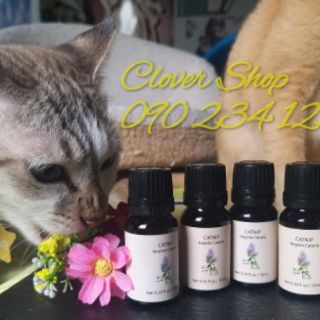 Tinh dầu cỏ mèo catnip