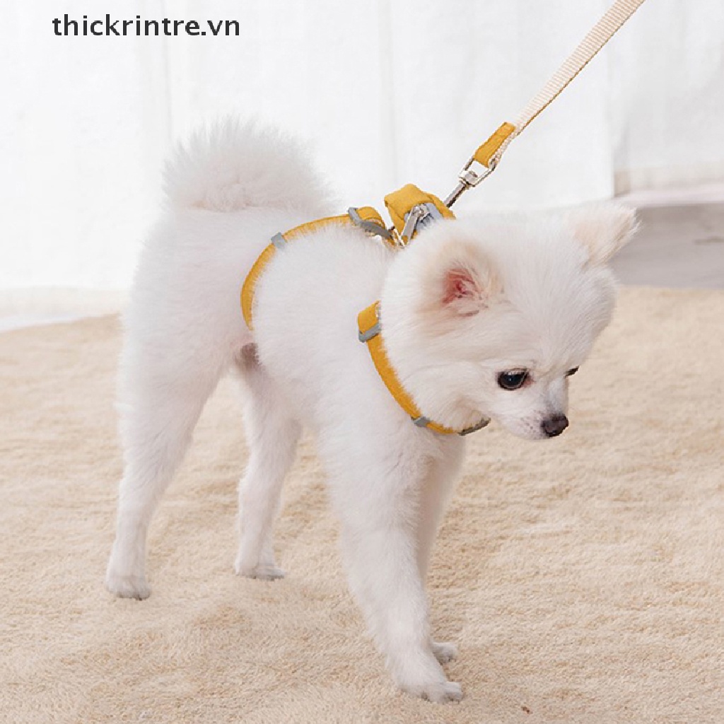 Bộ Dây Dắt Thú Cưng Đi Dạo Kèm Dây Dắt Tiện Dụng