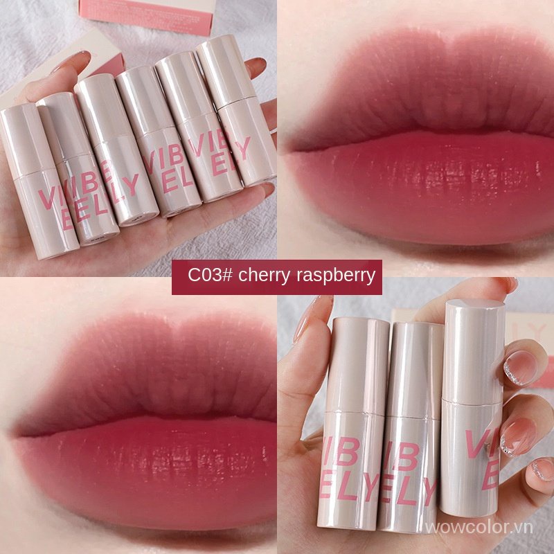 [Hàng mới về] Son kem VIBELY chất nhung lì chống thấm nước lâu trôi chất lượng cao