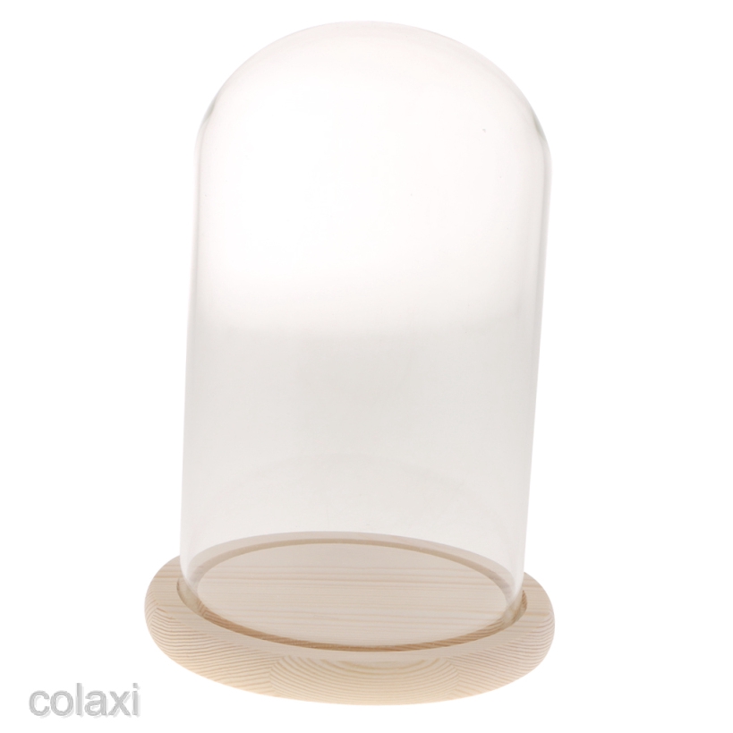 [COLAXI] Blesiya Glass Cover Landscape Vase Terrarium Container Flower Holder Dome