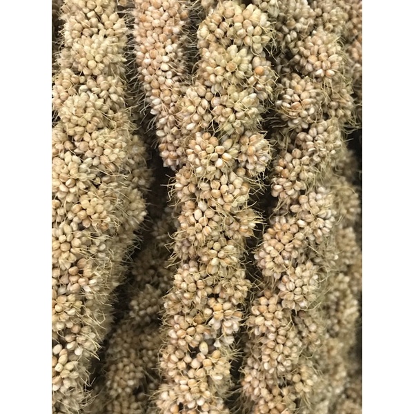 KÊ CHÙM TIỀN GIANG