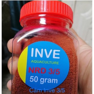 Cám thái Inve cho cá cảnh
