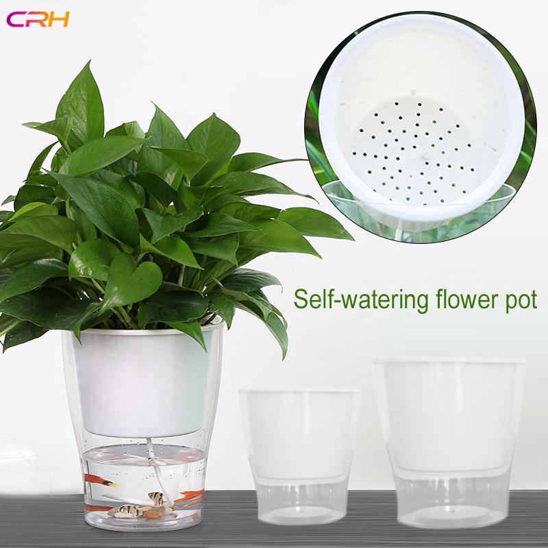 Mồi câu cá nhân tạo tự tưới nước