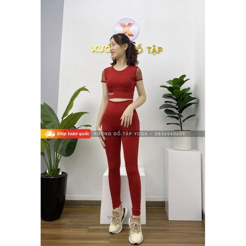 ✅ Mẫu Đẹp - Ảnh Thật 100% ✅Bộ tập GYM nữ đa năng - Yoga nữ - quần áo tập thể thao nữ cộc tay lưới 1 màu !