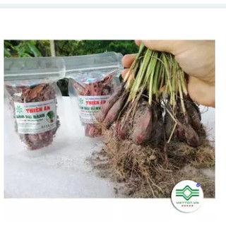 Sâm đại hành khô (tỏi đỏ) - Gói 1kg VTT151
