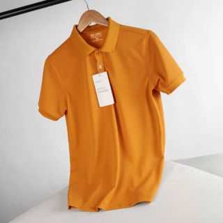 Áo COTTON THUN CÓ CỔ