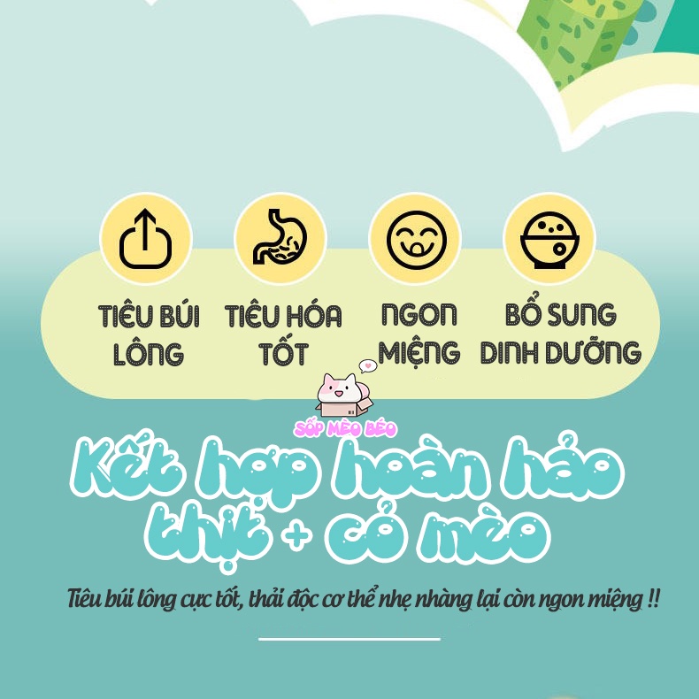 Viên bánh Catnip kết hợp thịt đông khô gói 20gr hãng JOY-tiêu lông tốt cho sức khỏe