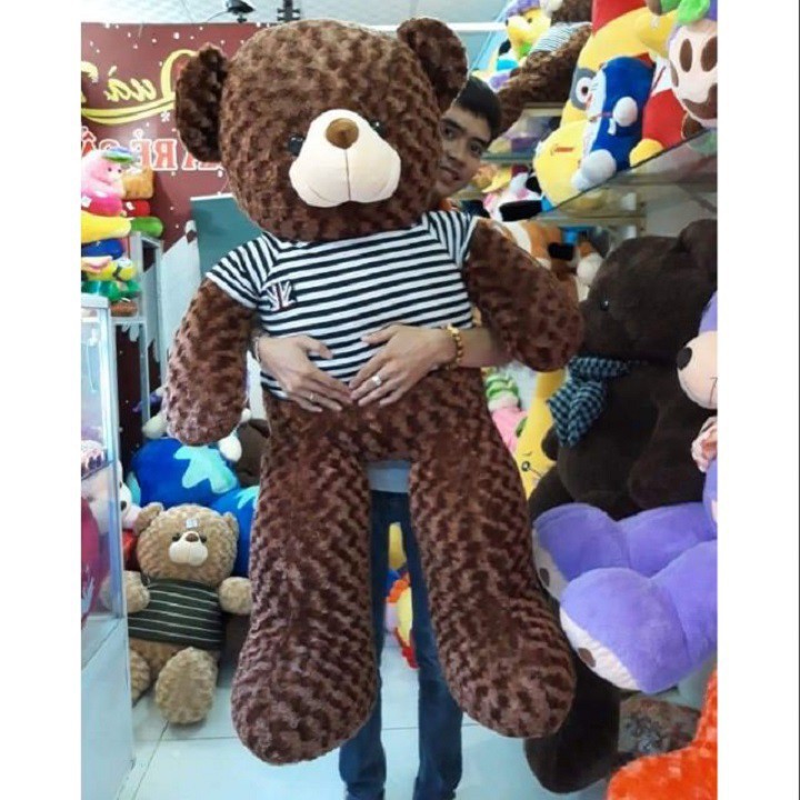 ❤️Sale Khủng❤️ Gấu bông teddy khổ vải 1m4 cao 1m2