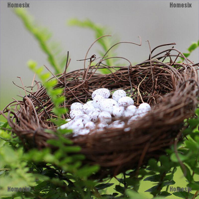 [HoMSI] Dollhouse Miniature Decorative Bird Nest With Eggs Mini Accessories hot SUU