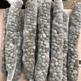 Phân Dê Đã Qua Xử Lý - Phân Dê Bón Hoa Lan (TÚI 1KG)