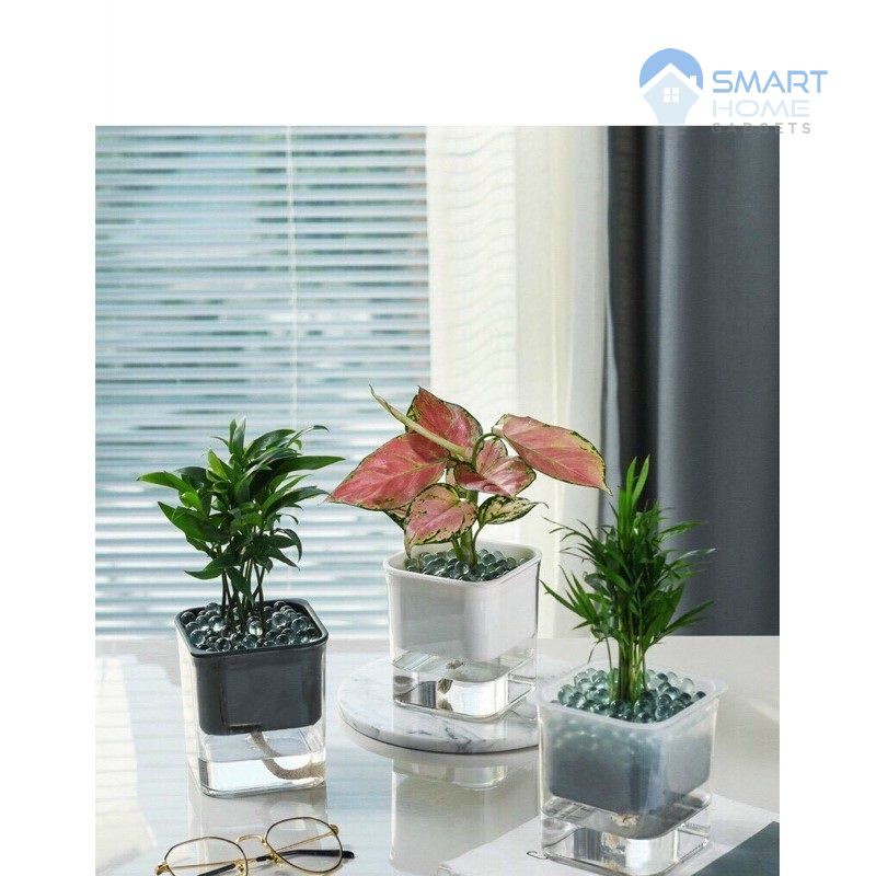 Chậu Cây Mini Trang Trí Bàn Làm Việc - Lọ Trồng Cây Thủy Sinh Tự Tưới Nước Mini Decor Bàn Học Bàn Làm Việc