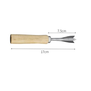 Dụng cụ lấy mắt dứa