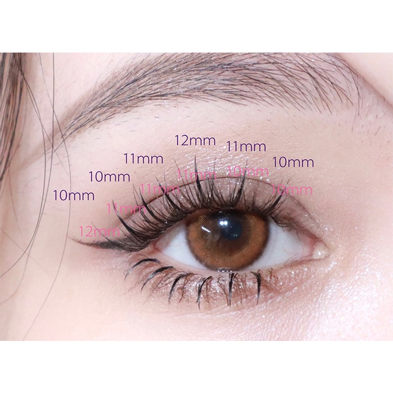 Little Red Book Fish Tail + A Type Mixed Hair Five Rows Mixed Natural False Eyelashes Self-grafting Single Cluster Eyelashes firstonly | BigBuy360 - bigbuy360.vn