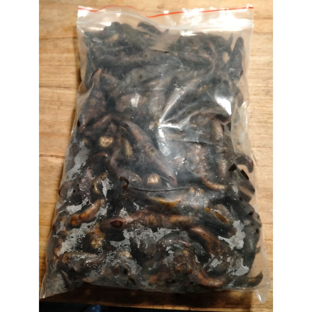 Củ ấu sừng trâu