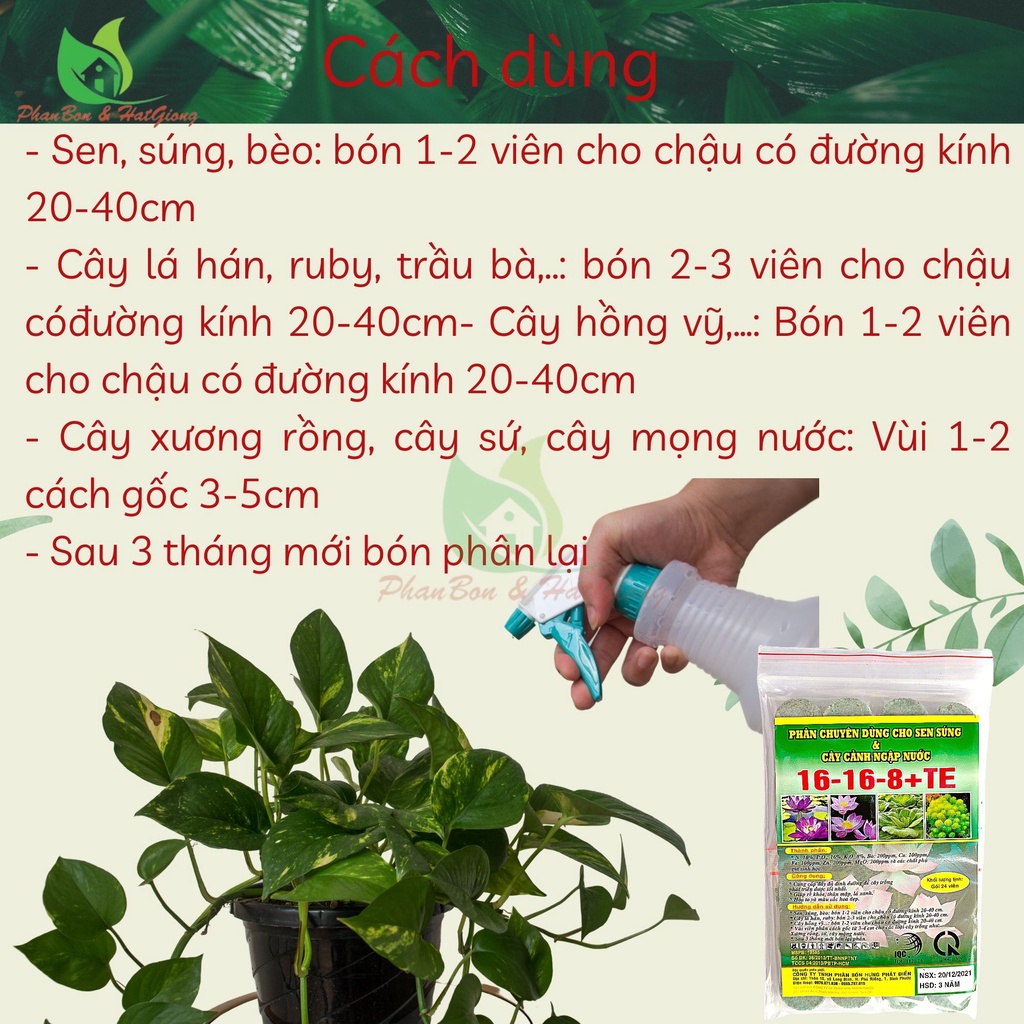 Phân Bón Hoa Sen Hoa Súng Và Cây Ngập Nước NPK 16-16-8+TE Gói 24 Viên - Shop Phân Bón và Hạt Giống