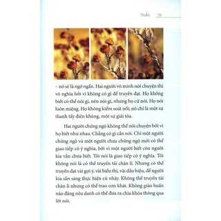 [Mã LIFEMALL995 giảm 10% đơn 99K] Sách - Thiền Osho (Thái Hà)