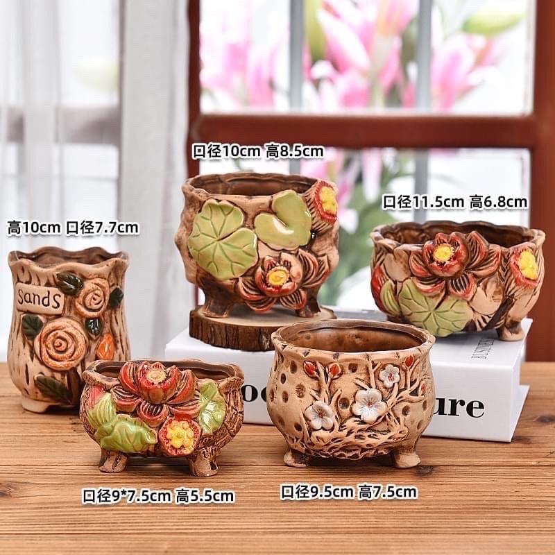 Chậu trồng sen đá mini
