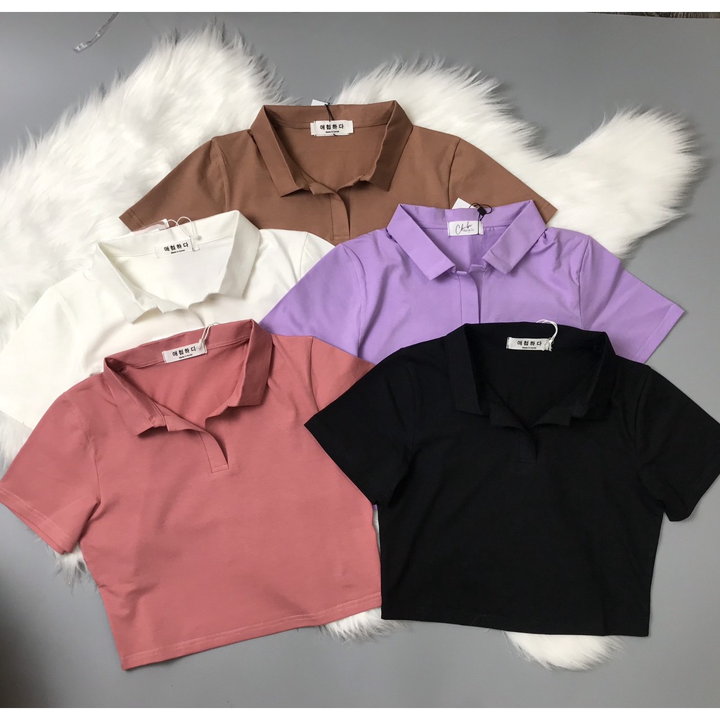 Áo croptop có cổ nữ dáng suông tay ngắn chất cotton Homieyl cao cấp màu đen trắng đi chơi, đi làm