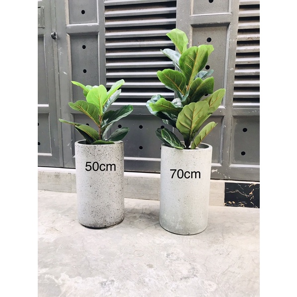 Cây bàng singapore giả 70cm