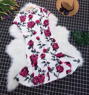 Đầm body bèo lai