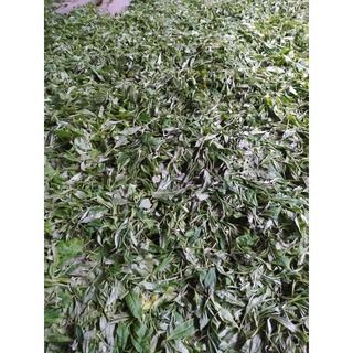 Chè San Tuyết Hoàng Su Phì - Hà Giang