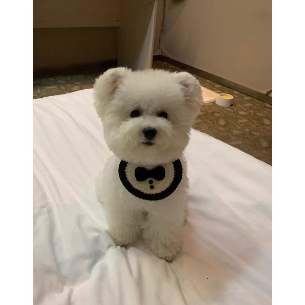 Yếm đen cosplay người hầu, yếm cho chó mèo handmade CHILLMEOW